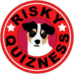 risky quizness logo